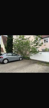 Foto - Stellplatz in Heidelberg Kirchheim