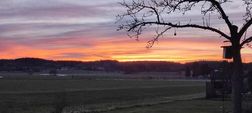 Foto - 4 Zimmer Doppelhaushälfte zum Kaufen in Königsbrunn
