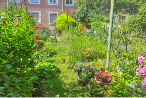 Foto - Freizeitgrundstück, Schrebergarten, Garten, Hobbygarten