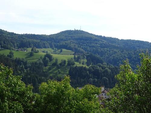 Foto - Ferienwohnung Urlaub im Schwarzwald