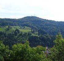 Ferienwohnung Urlaub im Schwarzwald - Zell im Wiesental