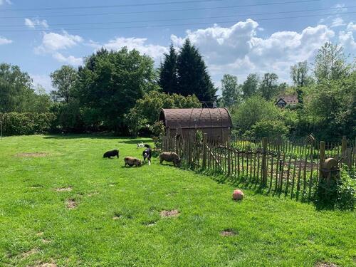 Foto - Einfamilienhaus in Iserlohn zum Kaufen