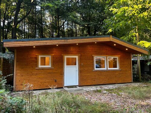 Foto - Modernes Holzhaus (Bj. 2023) auf Waldcampingplatz in Visbek