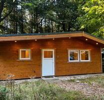 Modernes Holzhaus (Bj. 2023) auf Waldcampingplatz in Visbek