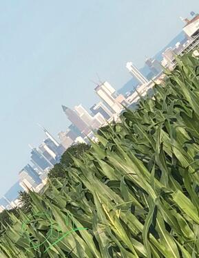 Foto - Gemütliche 2 ZKB bei Taunusstein, Nähe Golfplatz 2 km kleines MFH