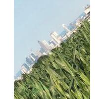 Gemütliche 2 ZKB bei Taunusstein, Nähe Golfplatz 2 km kleines MFH - Hohenstein