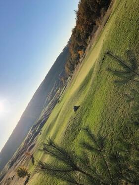 Foto - Etagenwohnung zur Miete in Hohenstein