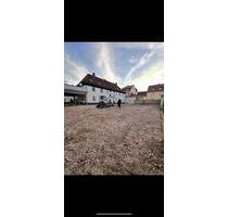 Fläche zu vermieten - 7,00&nbsp;EUR Kaltmiete, ca.&nbsp; 425,00&nbsp;m&sup2; in Ludwigshafen am Rhein (PLZ: 67069) Edigheim