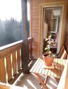 Foto - Last Minute - Schwarzwald, hochwertige Bio-Ferienwohnung im Wald