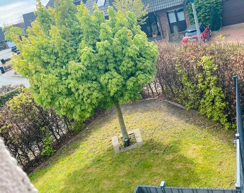 Foto - 1.5 Zimmer Erdgeschoßwohnung zur Miete in Ennigerloh