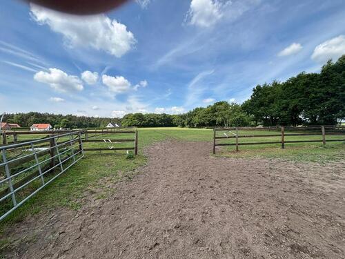 Foto - Einfamilienhaus in Wagenfeld zum Kaufen