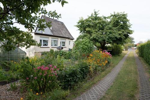Foto - 14 Zimmer Einfamilienhaus zum Kaufen in Wesendorf