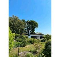 Wochenendgrundstundstück mit Boddennähe - Rostock Hansaviertel