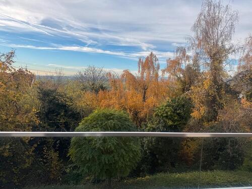 Foto - Einfamilienhaus zum Preis einer ETW provionsfrei von privat