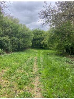 Foto - Privat Garten in Essenheim zu vermieten