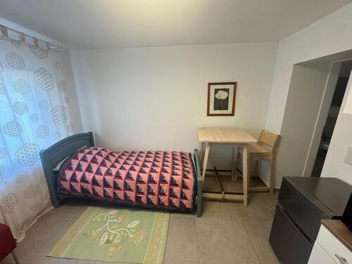 Foto - Möblierte 1-Zimmer-Wohn.in Trier-Zewen – ideal für Pendler&mehr