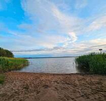Naturgrundstück, Tiny Haus Stellplatz - Leipzig Nordost