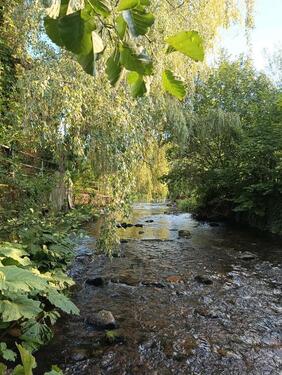 Foto - Idyllisches HausLosse in Helsa bei Kassel für Naturliebhabern!!!