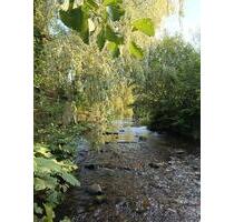Idyllisches HausLosse in Helsa bei Kassel für Naturliebhabern!!!