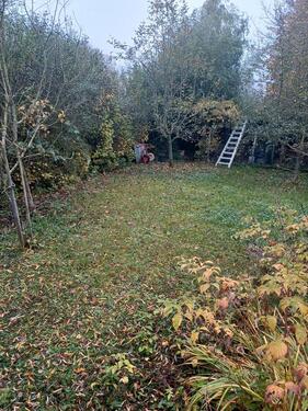 Foto - Grundst&uuml;ck in Mainz zur Miete