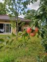 Foto - Einfamilienhaus zum Kaufen in Neuruppin
