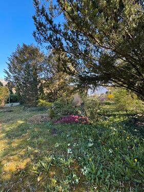 Foto - 5 Zimmer Einfamilienhaus in Burgheim