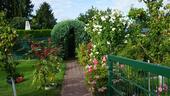 Foto - Schönen Garten mit gemütlichem Haus zu pachten