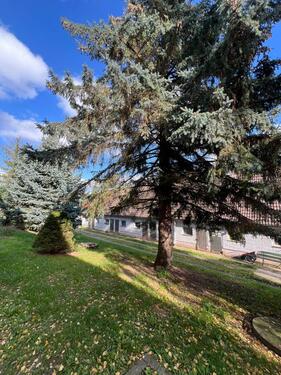 Foto - Etagenwohnung in Hettstedt