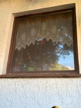 Foto - 5 Zimmer Einfamilienhaus zum Kaufen in Schenefeld