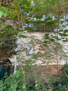 Foto - 5 Zimmer Einfamilienhaus in Schenefeld