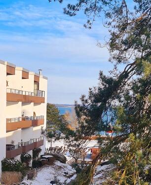 Foto - Ferienwohnung in Travemünde noch Termine frei ! Ostseeblick Hund