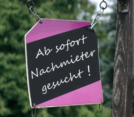 Foto - gemütliche 2 Raum Wohnung in 17419 Zirchow