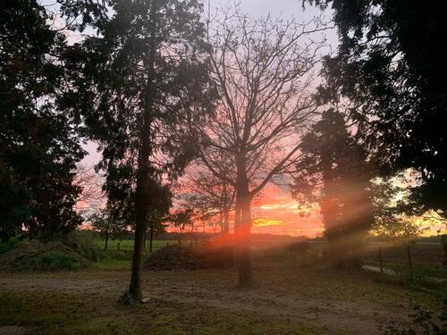 Foto - Aussiedlerhof, ideal für Pferdeliebhaber und Selbstversorger