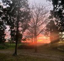 Aussiedlerhof, ideal für Pferdeliebhaber und Selbstversorger - Schwalmtal