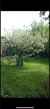 Foto - 4 Zimmer Etagenwohnung zur Miete in Dieburg