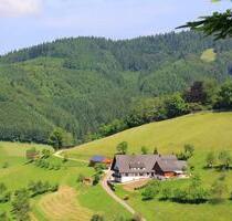 Schwarzwald-Ferienwohnungen - Ferienhaus-traumhafte Panoramalage. - Oppenau