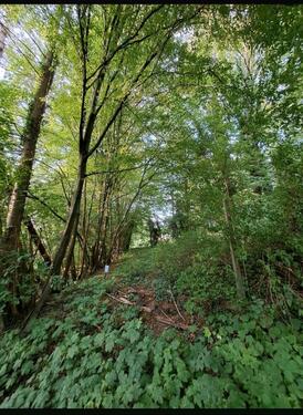 Foto - Grundst&uuml;ck zur Miete in Neuwied
