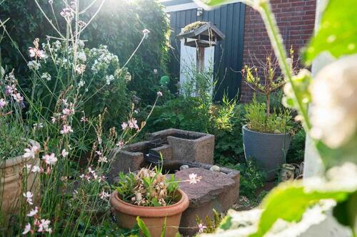 Foto - 