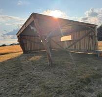 Offenstall zu vermieten - 300,00&nbsp;EUR Kaltmiete, ca.&nbsp; 0,00&nbsp;m&sup2; in Usingen (PLZ: 61250)