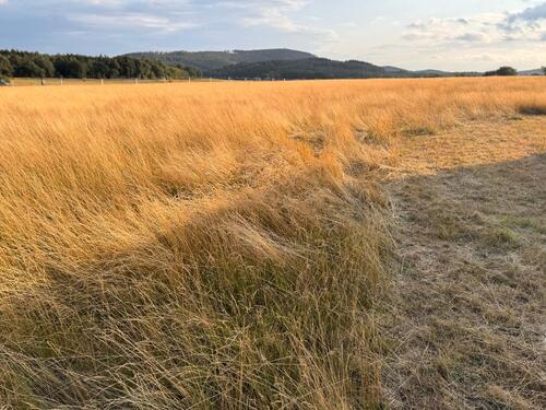 Foto - Grundst&uuml;ck in Usingen