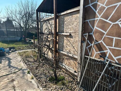 Foto - Grundst&uuml;ck in Magdeburg zur Miete