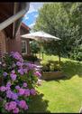 Foto - andere in Detern