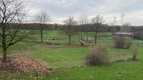 Foto - Etagenwohnung in Dortmund zur Miete