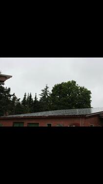 Foto - Mehrfamilienhaus, Wohnhaus in Werlte zum Kaufen