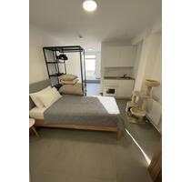 Wohnung zentral und ruhig - 370,00&nbsp;EUR Kaltmiete, ca.&nbsp; 21,00&nbsp;m&sup2; in Saarbrücken (PLZ: 66133) Scheidt