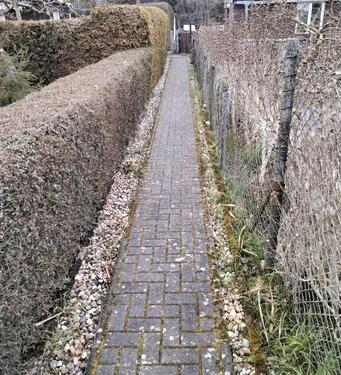 Foto - Grundst&uuml;ck zur Miete in Magdeburg