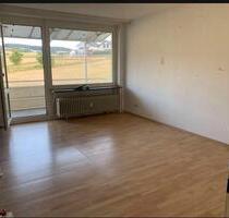 2-Zimmer-Wohnung mit Einbauküche (extra) und Möbiliert - Erbach