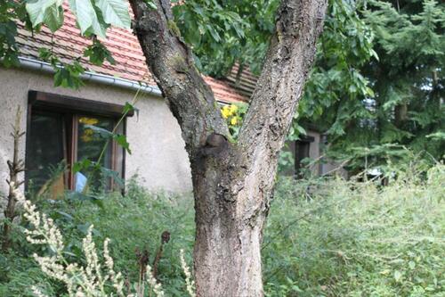 Foto - Haus mit Scheune - 1.500,00&nbsp;EUR Kaltmiete, ca.&nbsp; 150,00&nbsp;m&sup2;