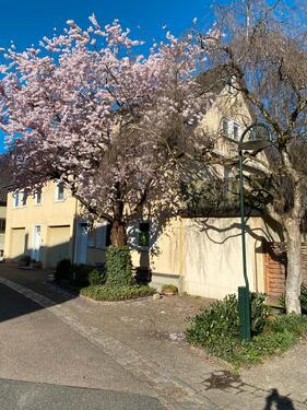 Foto - 9 Zimmer Mehrfamilienhaus, Wohnhaus in Niederstetten