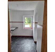 Große 3 Raum Wohnung mit Balkon - Grünhainichen